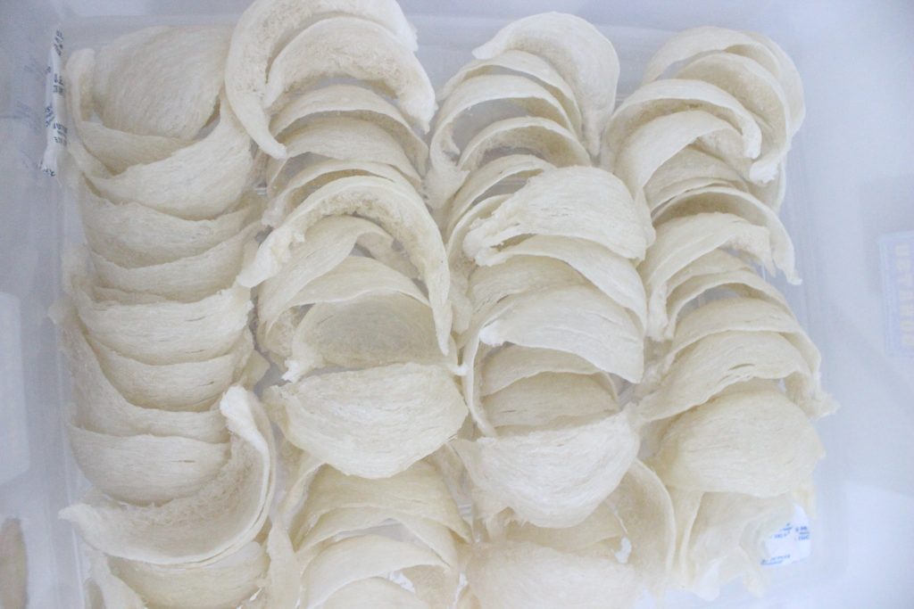 Raising and Harvesting Swiftlet Nests: Regulations, Timing, and Controversies Regarding Its Halal Status.