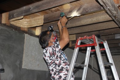 How to make swiftlets nest quickly in a swiftlet house